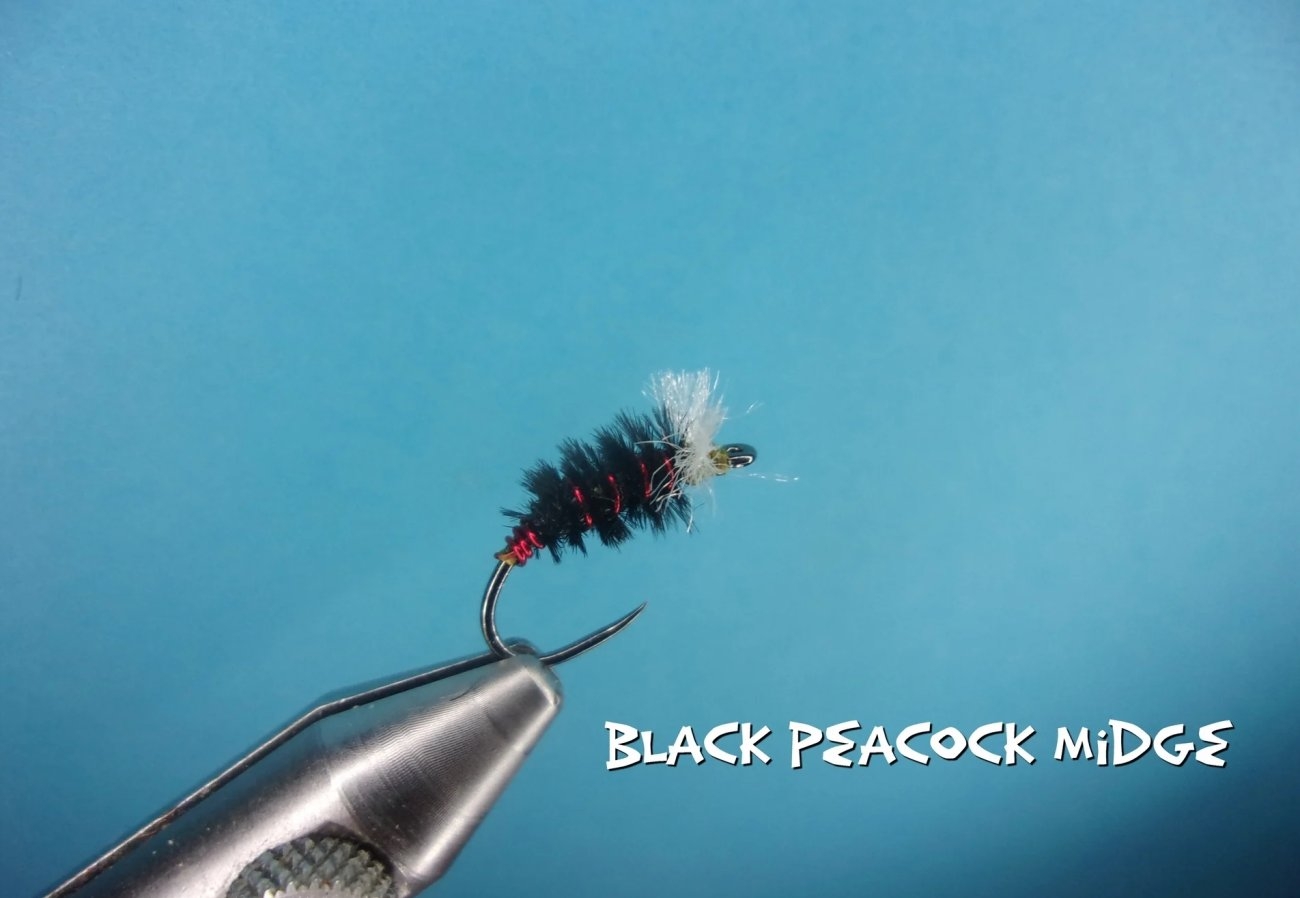 Black Peacock Midge.jpg