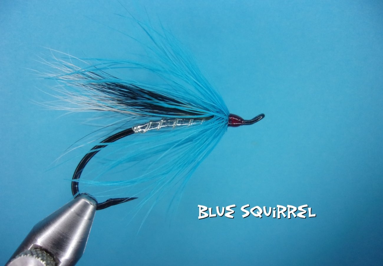Blue Squirrel.jpg