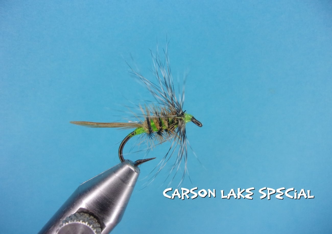 Carson Lake Special.jpg