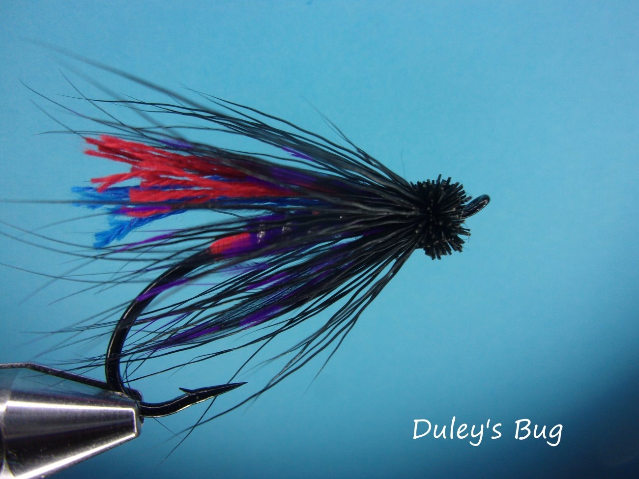 Duley's Bug.jpg