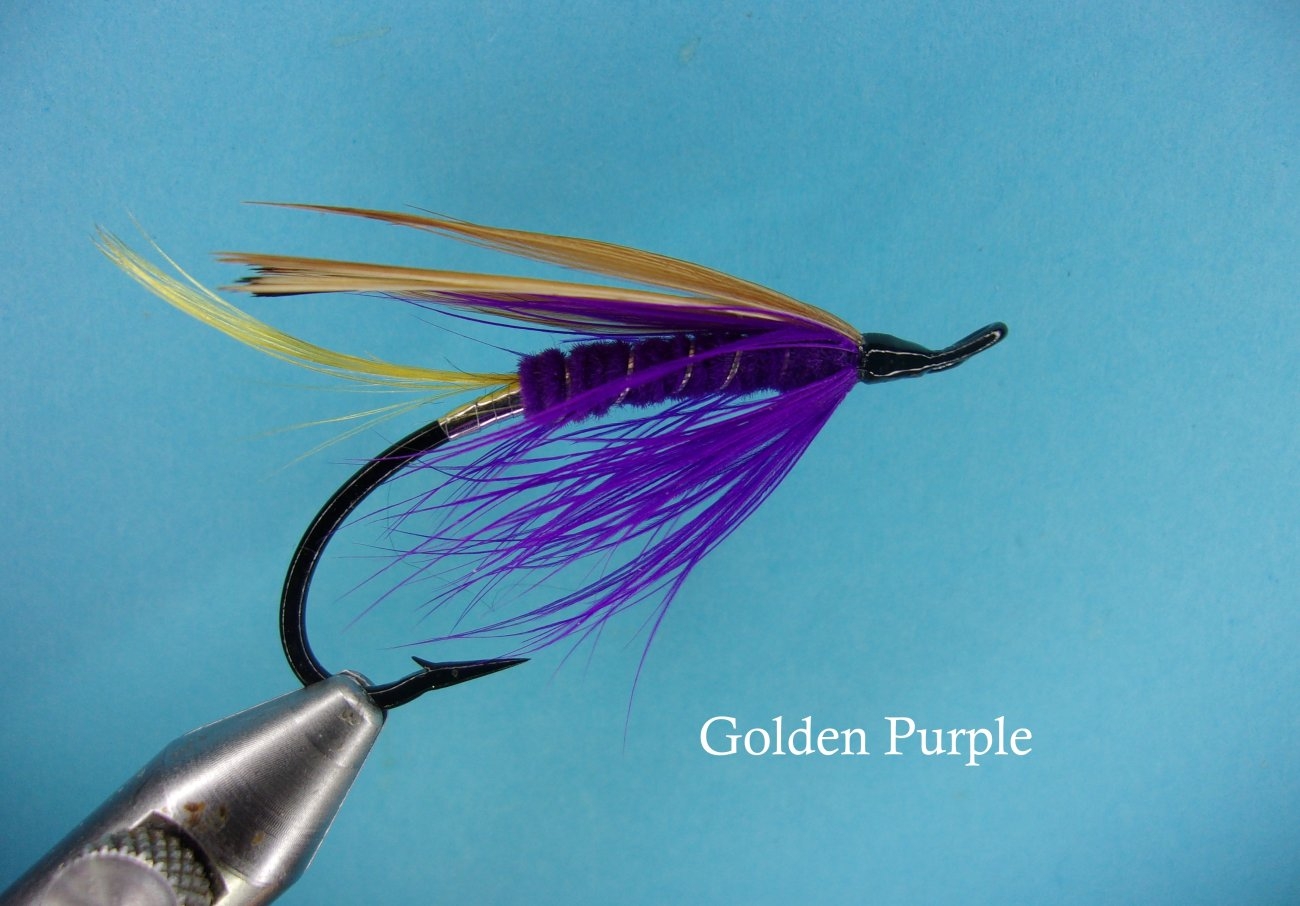 Golden Purple.JPG
