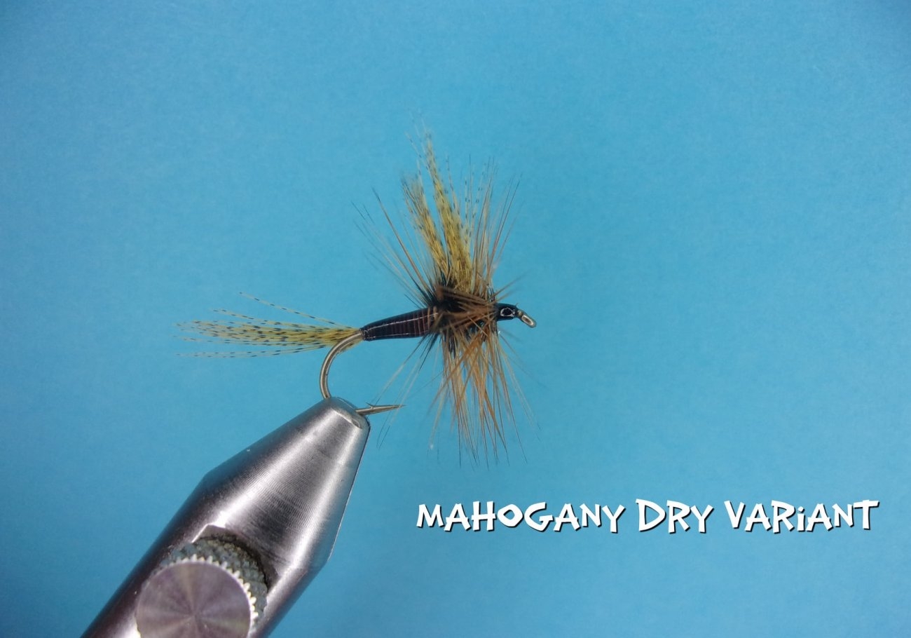 Mahogany Dry.jpg