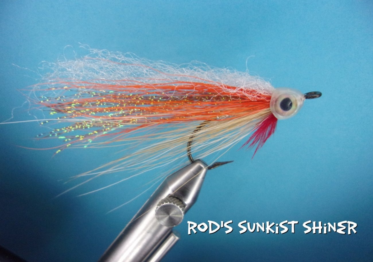 Rod's Sunkist Shiner.jpg