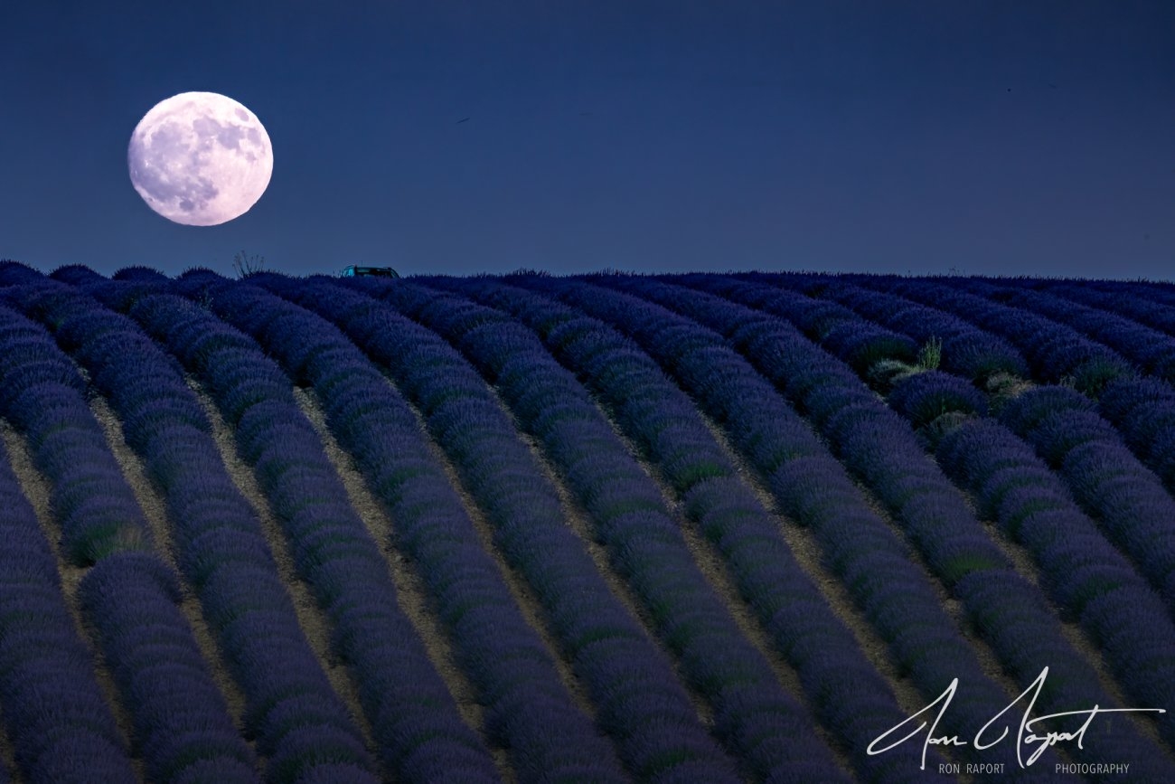 Ron Raport Moon over Provence.jpg