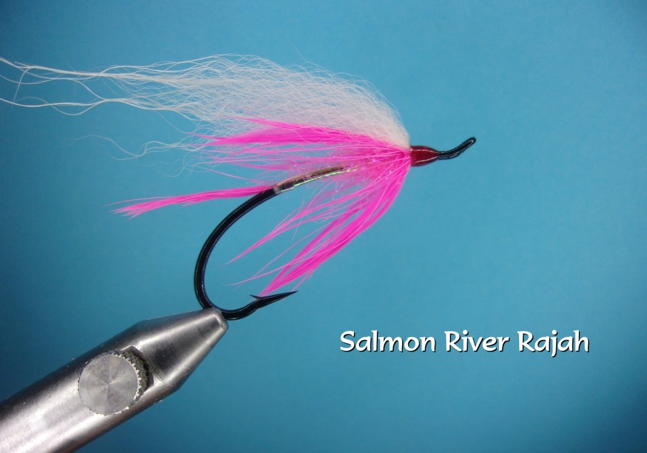 Salmon River Rajah.jpg