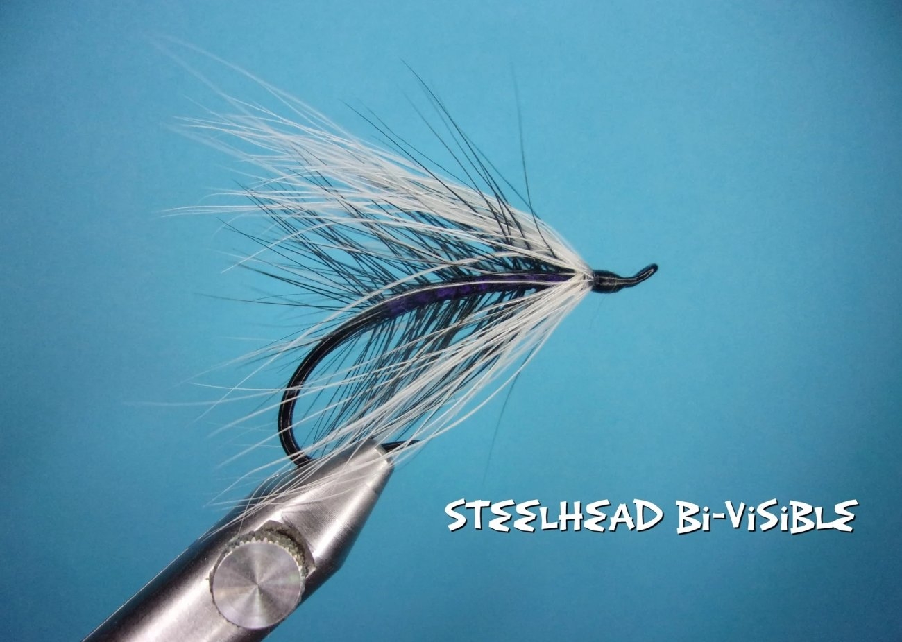 Steelhead Bi-Visible.jpg