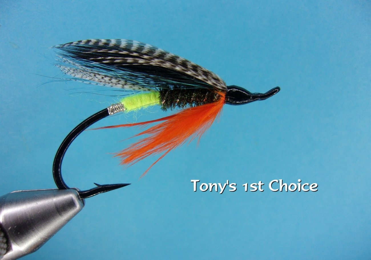 Tony's 1st Choice.jpg