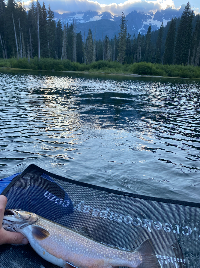 Media '1784501388890.png' in category 'Trip Reports & Fish Pics'