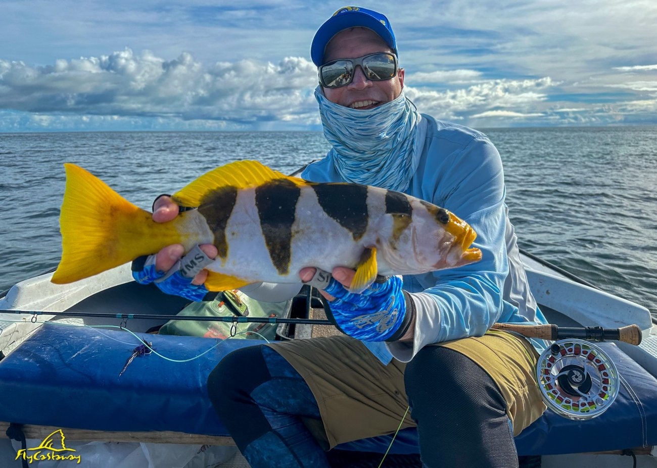 Black Saddled Coral Grouper