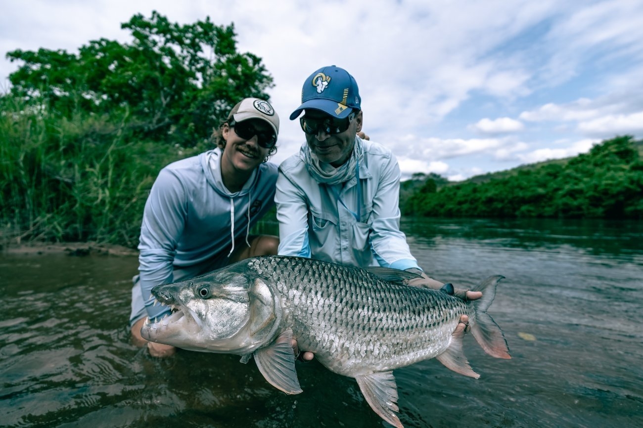 Blue Tigerfish - Tanzania