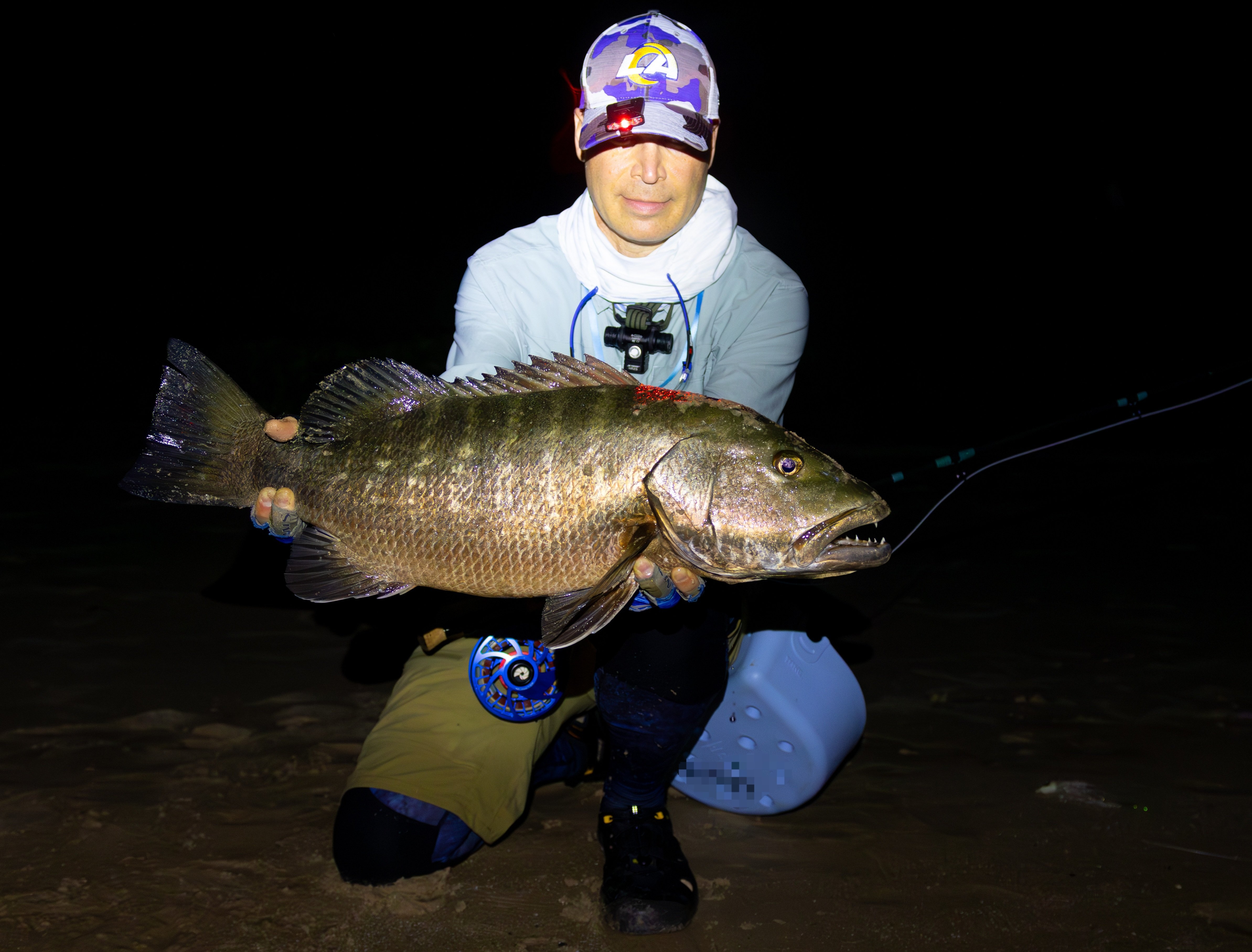 Cubera Snapper