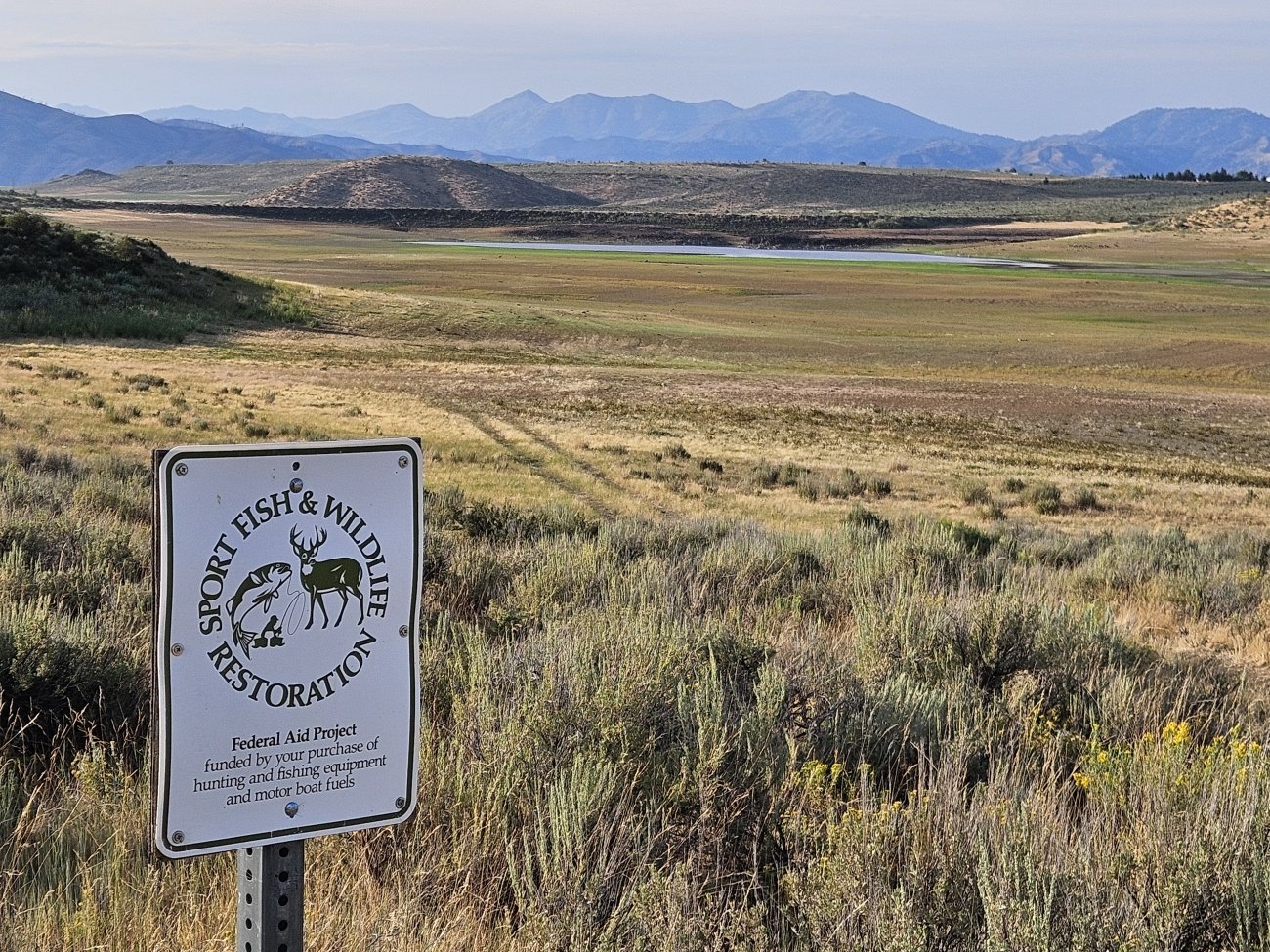 Day11 19.jpg