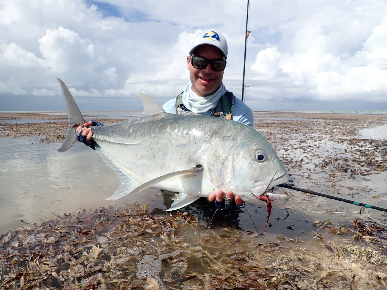 Giant Trevally