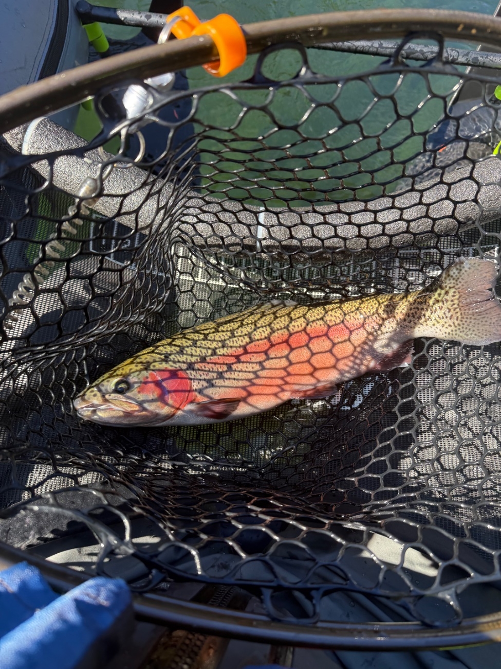 IMG_4180.jpeg