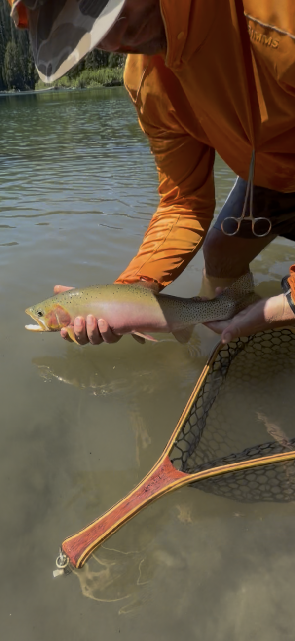 Media 'IMG_4535.PNG' in category 'Trip Reports & Fish Pics'