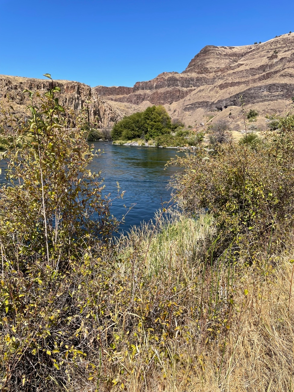 IMG_4537.jpeg