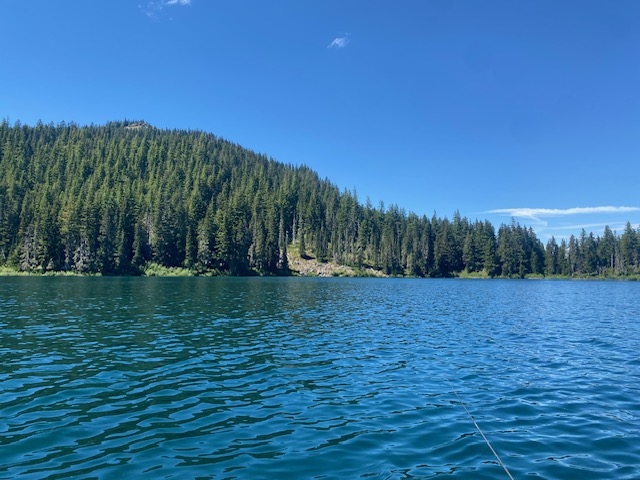 IMG_5043.jpeg