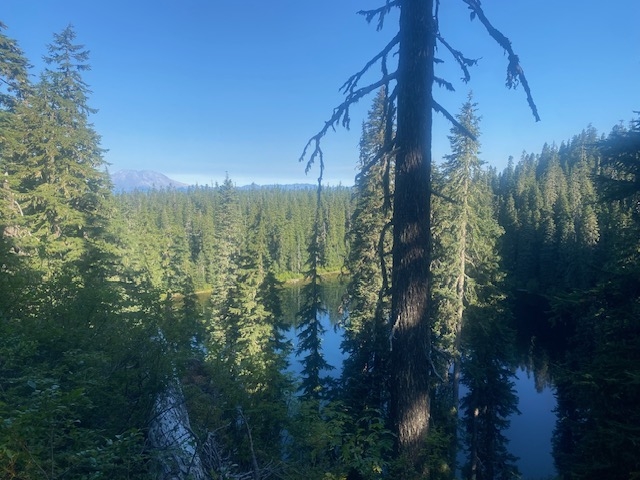IMG_5549.jpeg