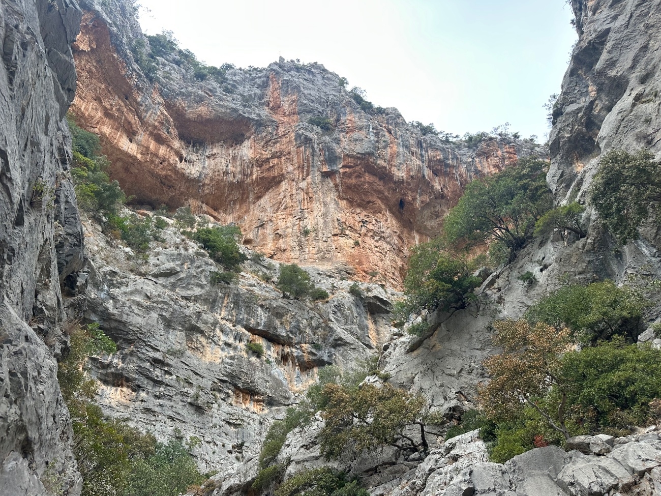 IMG_6906.jpeg