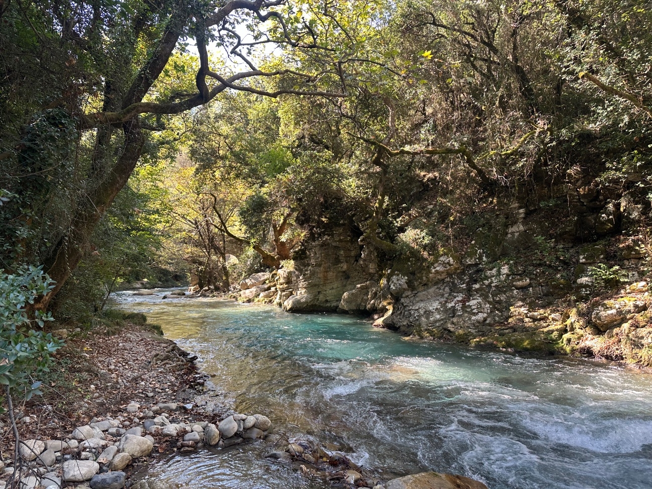 IMG_7013.jpeg