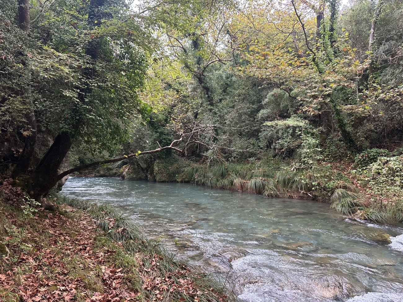 IMG_7079.jpeg