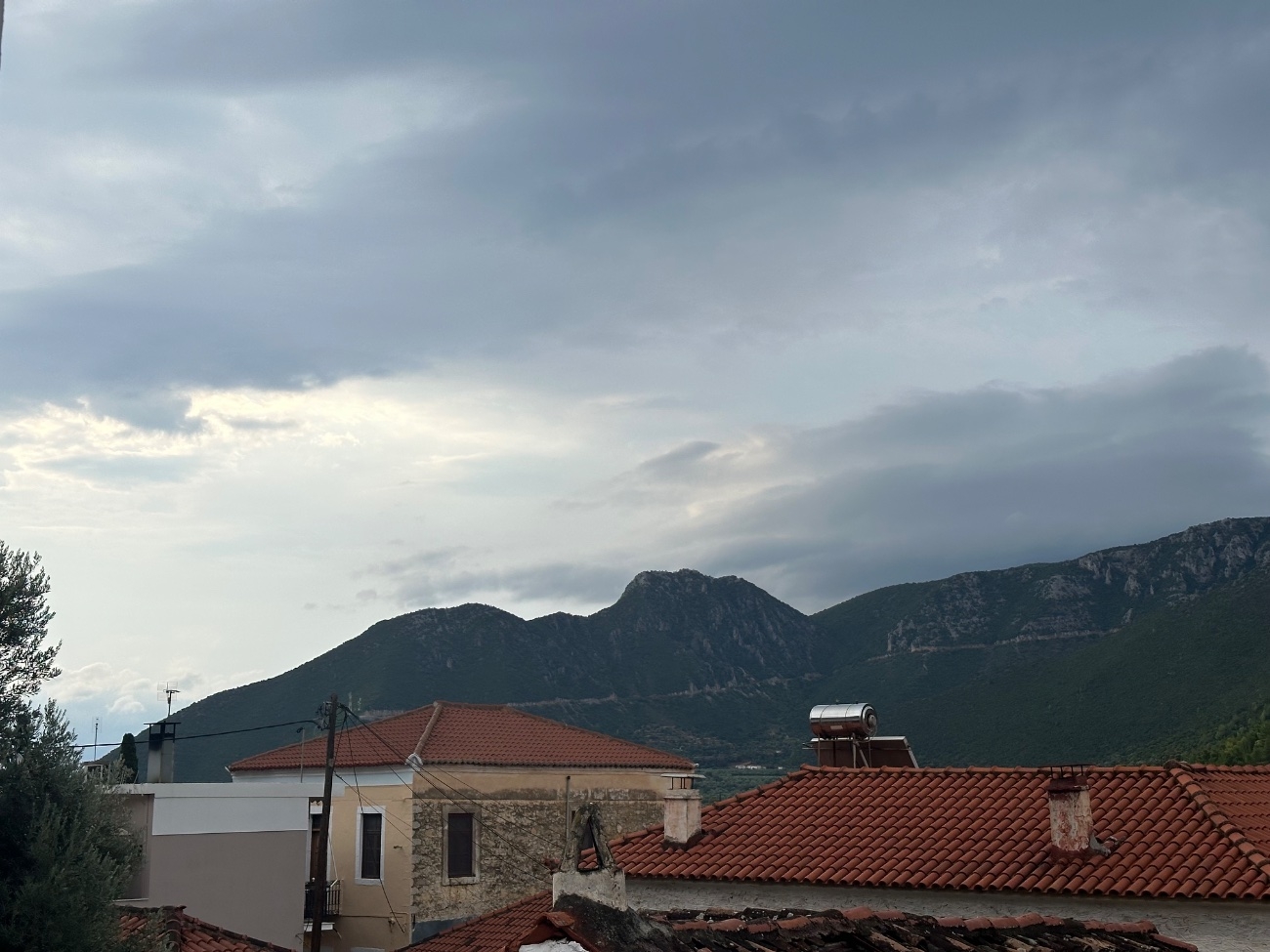IMG_7207.jpeg