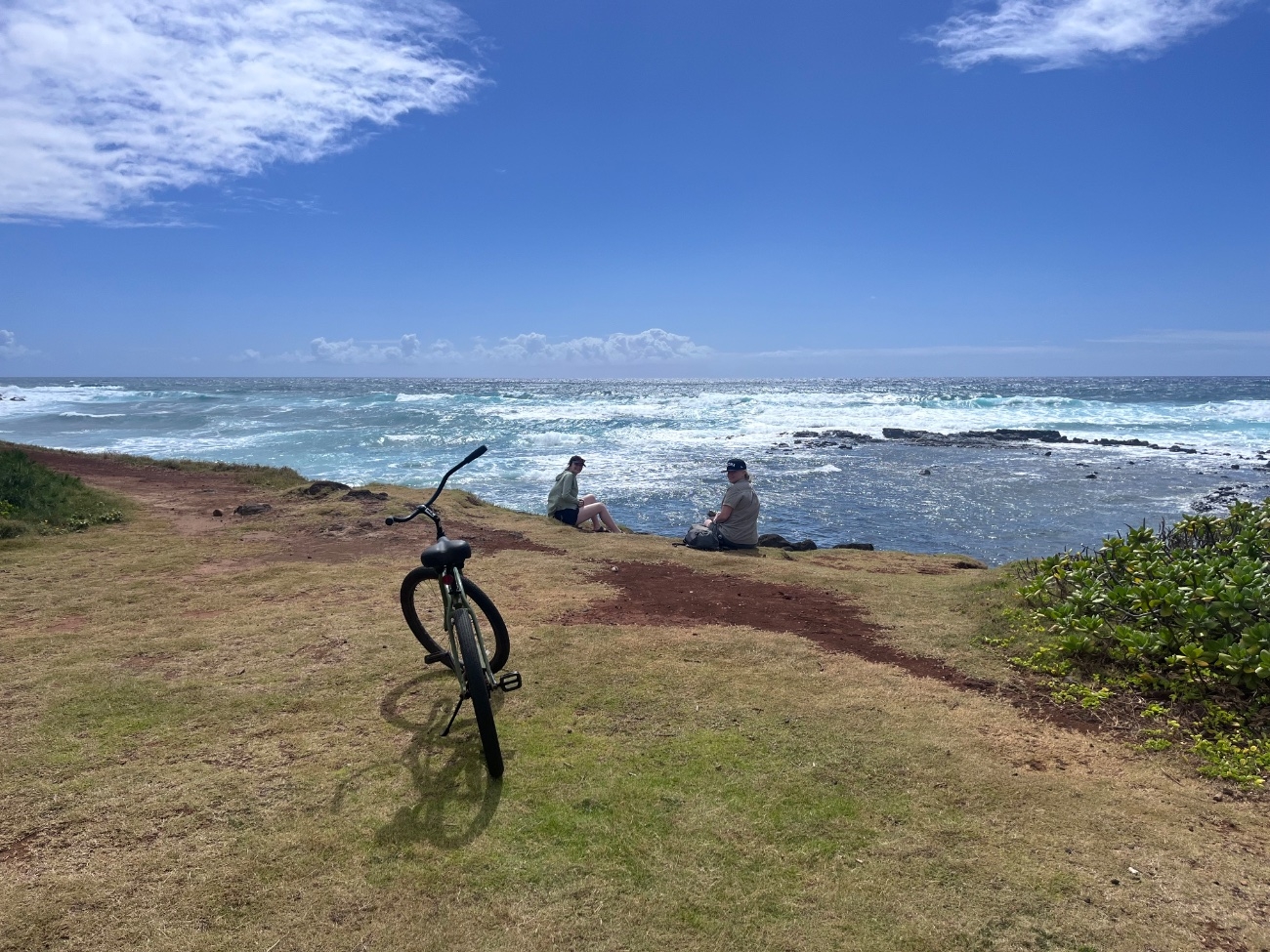 IMG_7901.jpeg