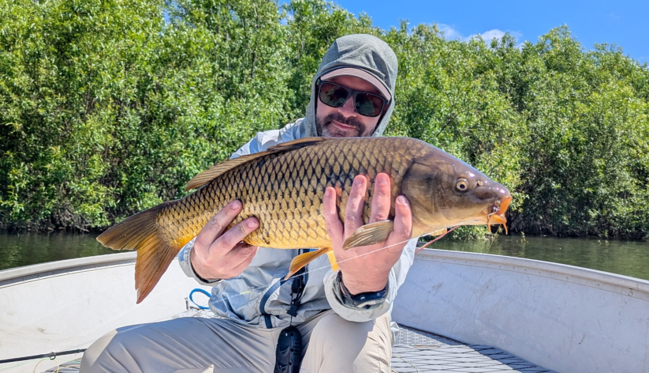 June 2026 Carp