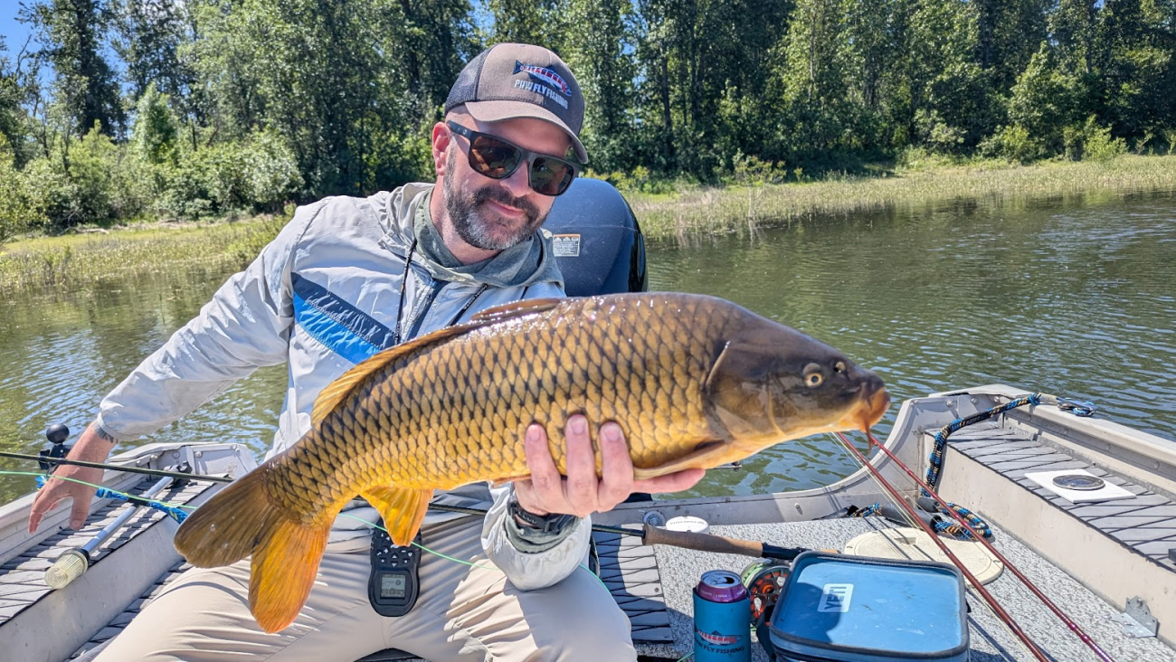 June 2026 Carp