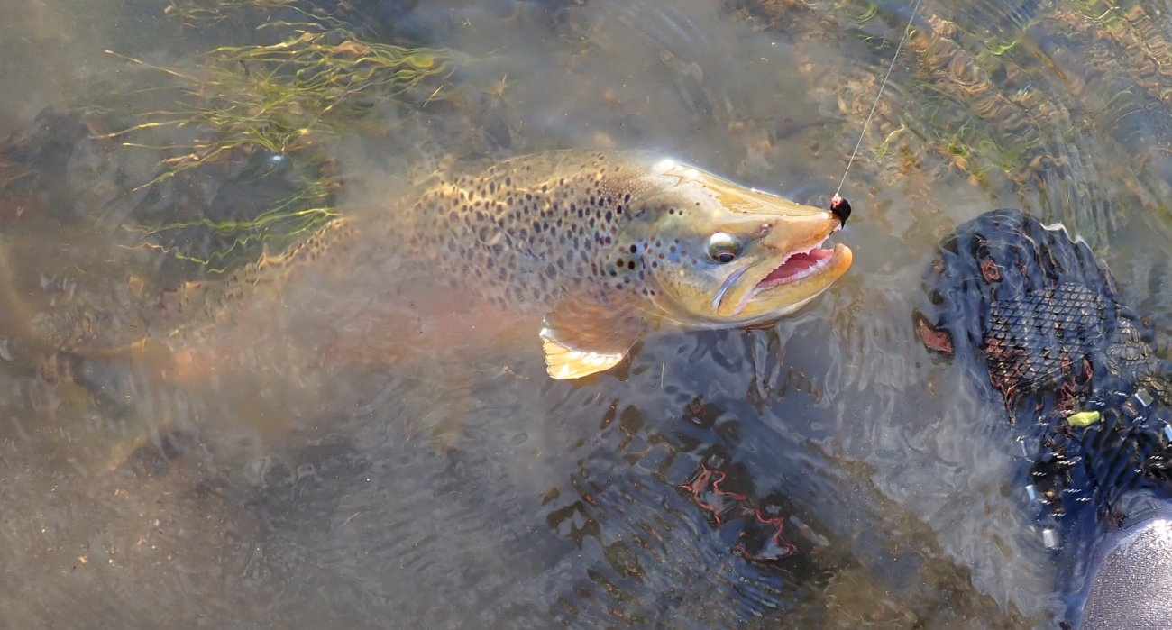 P8251454.jpeg