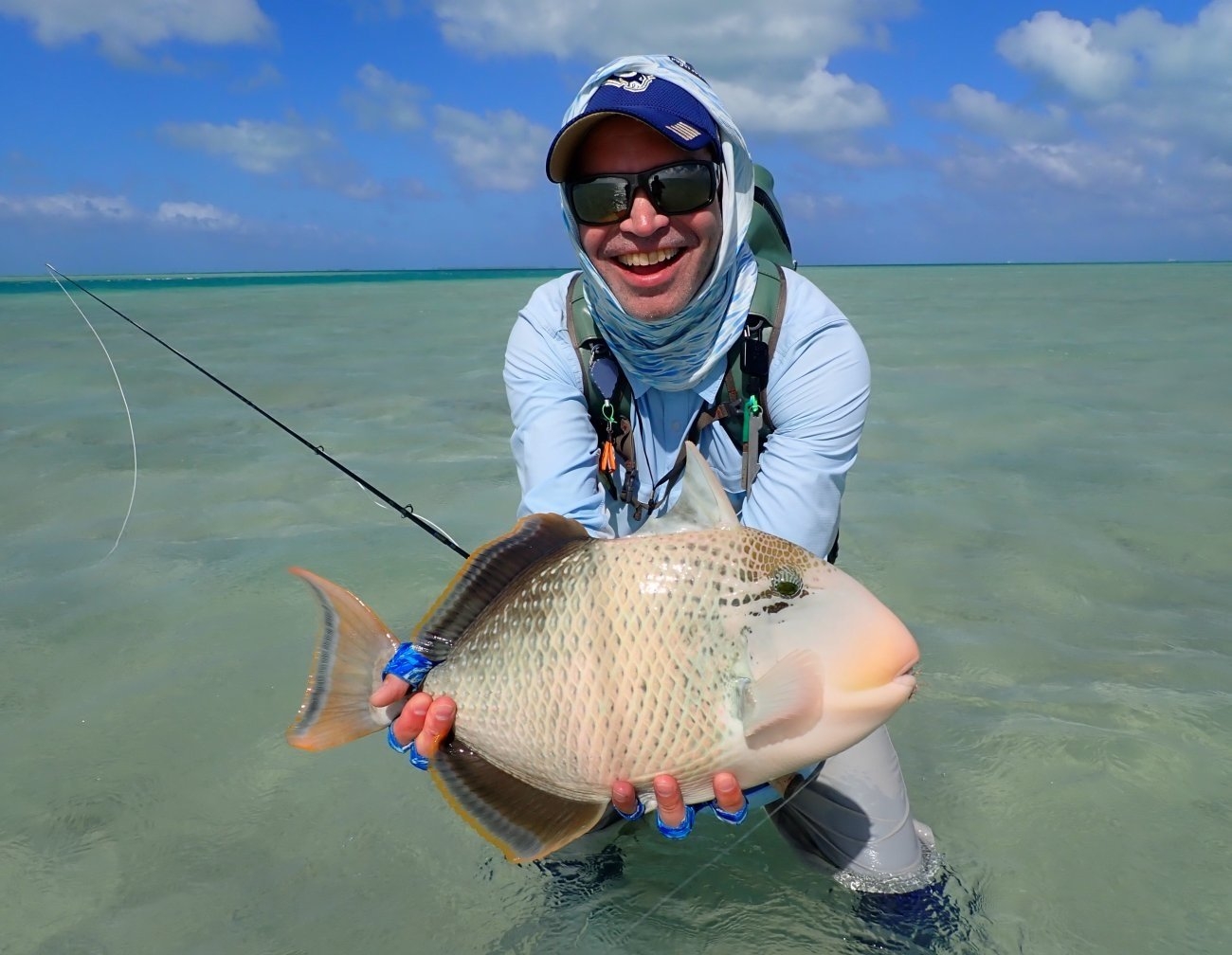Yellowmargin Triggerfish