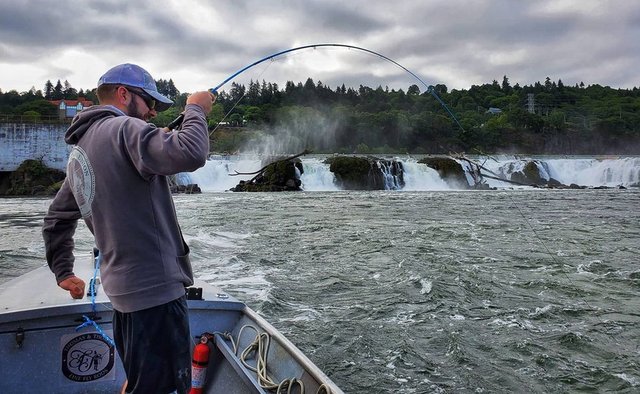Fly Fishing For Bass on the Willamette River